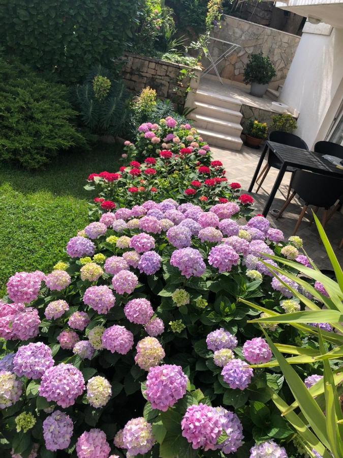 Tianri Apartment กอร์จูลา ภายนอก รูปภาพ