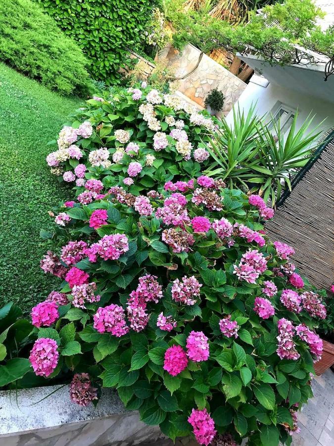 Tianri Apartment กอร์จูลา ภายนอก รูปภาพ